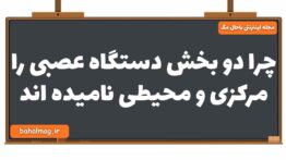 چرا دو بخش دستگاه عصبی را مرکزی و محیطی نامیده اند زیست یازدهم