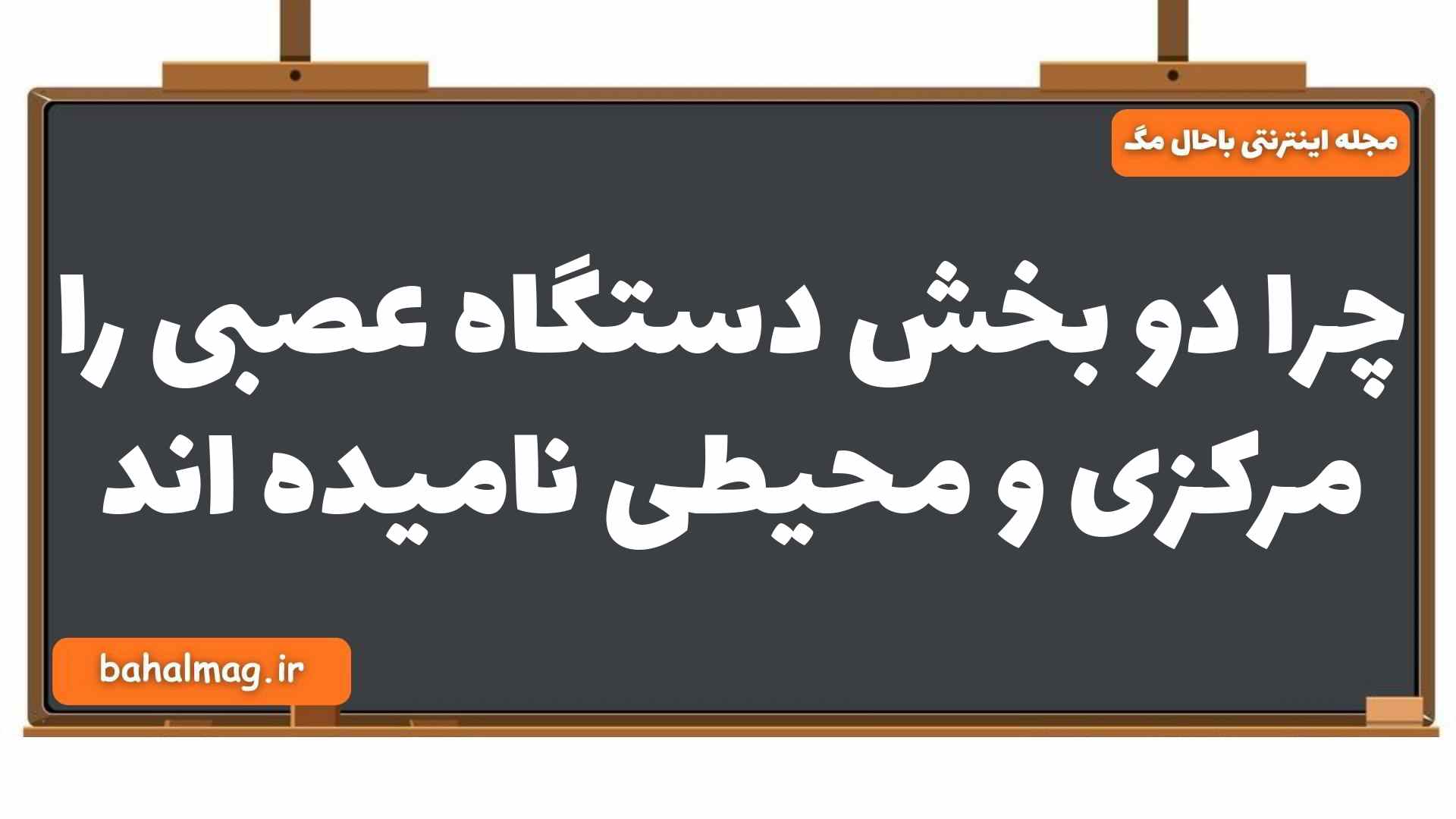 چرا دو بخش دستگاه عصبی را مرکزی و محیطی نامیده اند زیست یازدهم