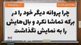 چرا پروانه دیگر خود را در برکه تماشا نکرد و بال‌هایش را به نمایش نگذاشت فارسی پنجم