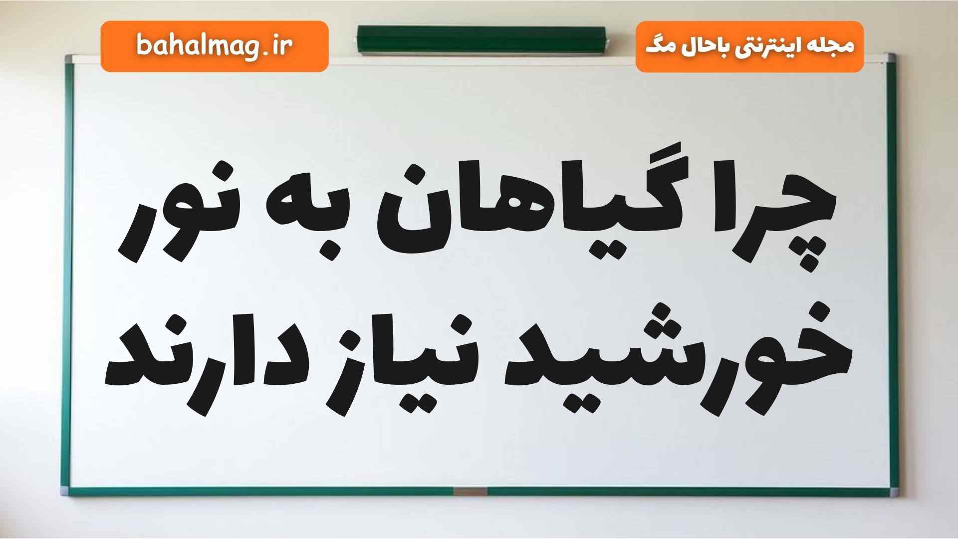 چرا گیاهان به نور خورشید نیاز دارند