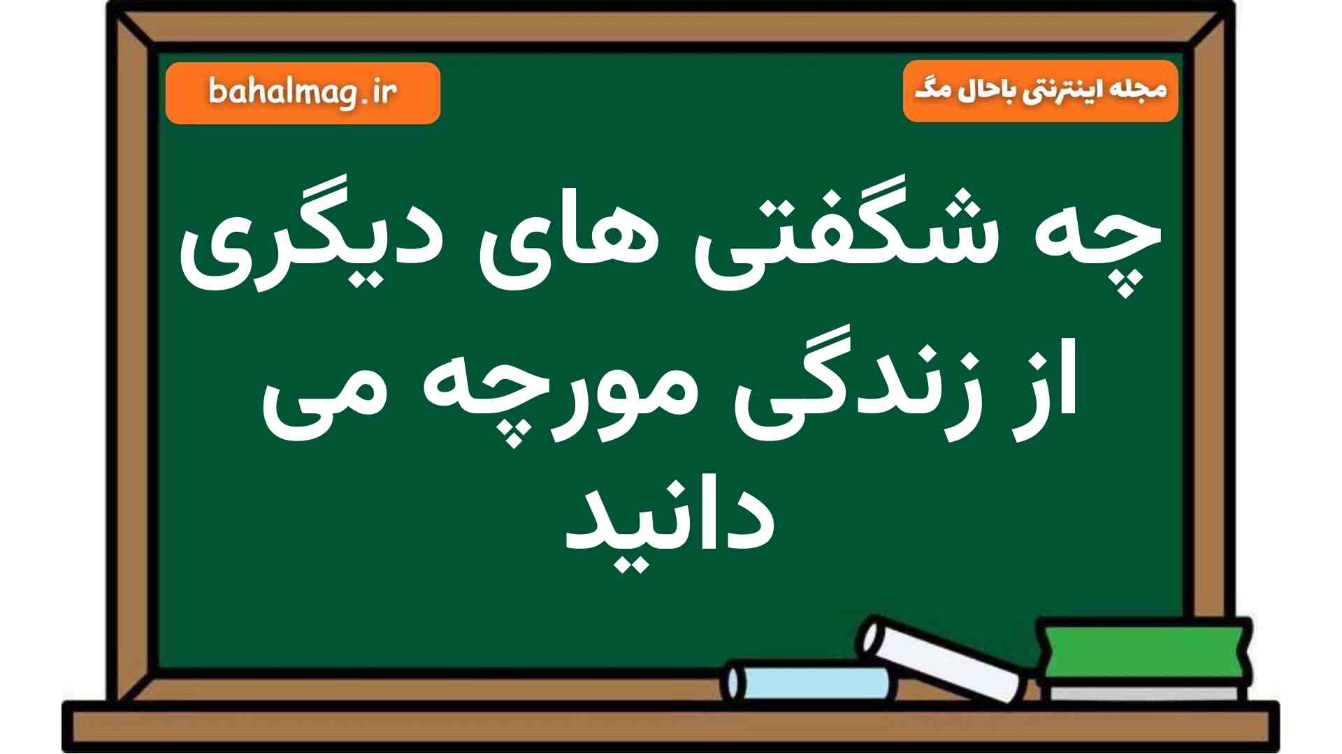 چه شگفتی های دیگری از زندگی مورچه می دانید فارسی هشتم