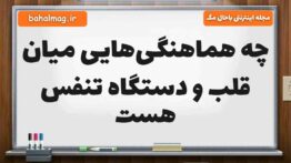 چه هماهنگی‌هایی میان قلب و دستگاه تنفس هست