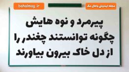پیرمرد و نوه هایش چگونه توانستند چغندر را از دل خاک بیرون بیاورند فارسی دوم