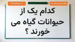کدام یک از حیوانات گیاه می خورند