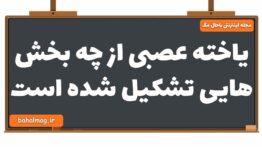 یاخته عصبی از چه بخش هایی تشکیل شده است زیست یازدهم