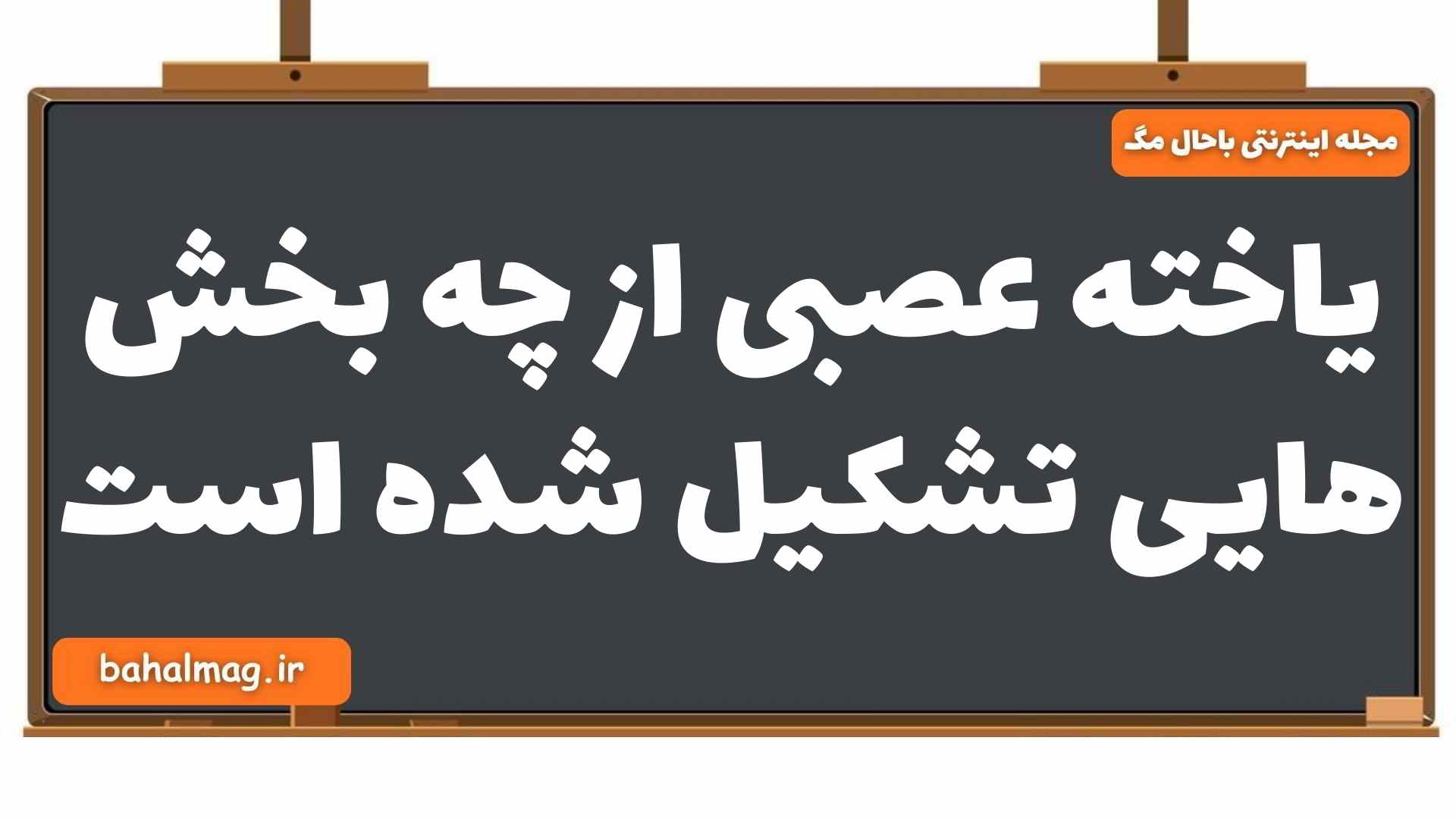 یاخته عصبی از چه بخش هایی تشکیل شده است زیست یازدهم