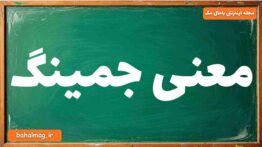 معنی جمینگ