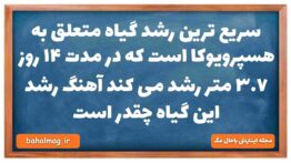 سریع ترین رشد گیاه متعلق به هسپرویوکا است که در مدت ۱۴ روز ۳.۷ متر رشد می کند آهنگ رشد این گیاه چقدر