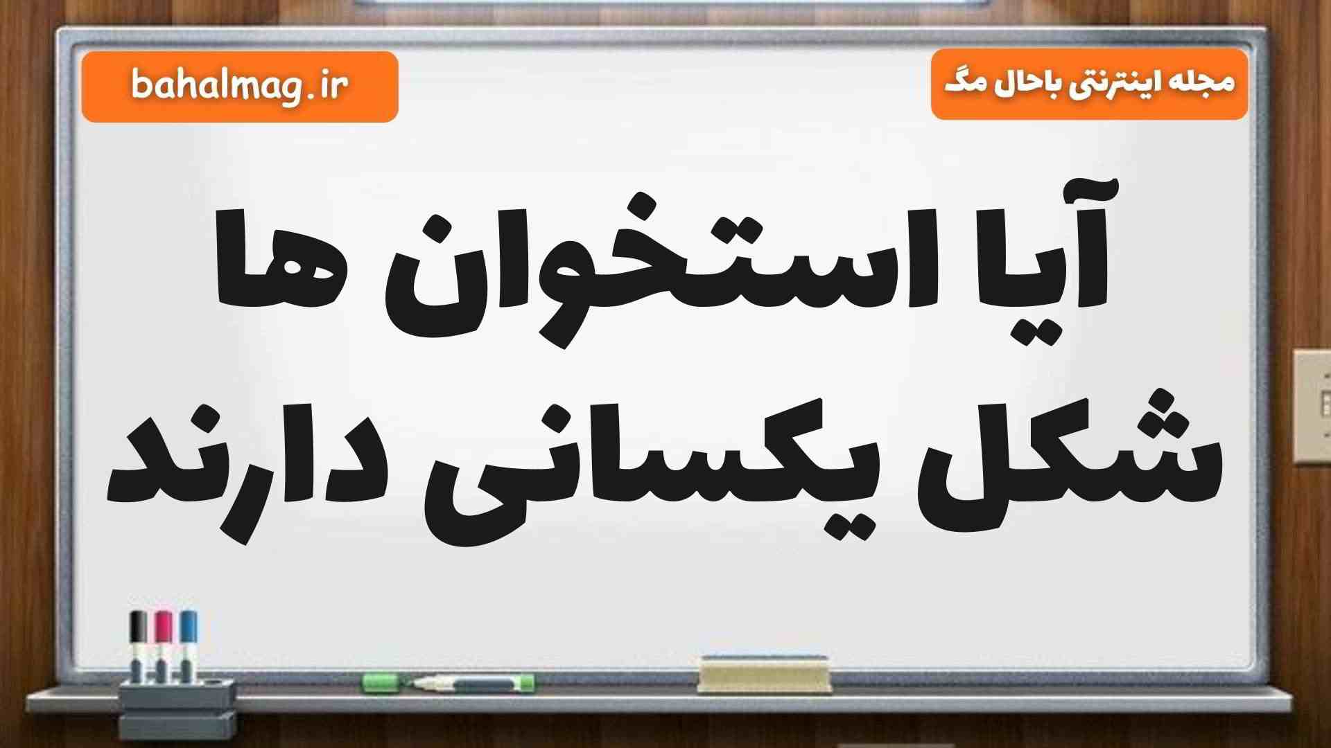 آیا استخوان ها شکل یکسانی دارند