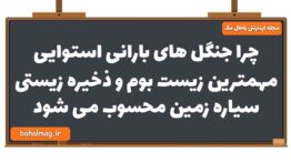 چرا جنگل های بارانی استوایی مهمترین زیست بوم و ذخیره زیستی سیاره زمین محسوب می شود