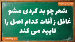 شعر چو بد کردی مشو غافل ز آفات کدام اصل را تایید می کند