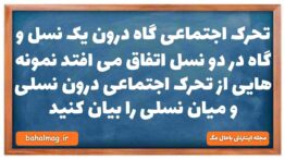 تحرک اجتماعی گاه درون یک نسل و گاه در دو نسل اتفاق می افتد نمونه هایی از تحرک اجتماعی درون نسلی و می