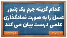 کدام گزینه جرم یک زنبور عسل را به صورت نمادگذاری علمی درست بیان می کند فیزیک دهم