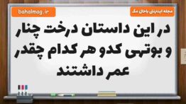در این داستان درخت چنار و بوتهی کدو هر کدام چقدر عمر داشتند فارسی پنجم