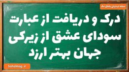 درک و دریافت از عبارت سودای عشق از زیرکی جهان بهتر ارزد