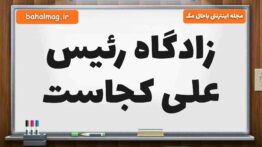 زادگاه رئیس علی کجاست