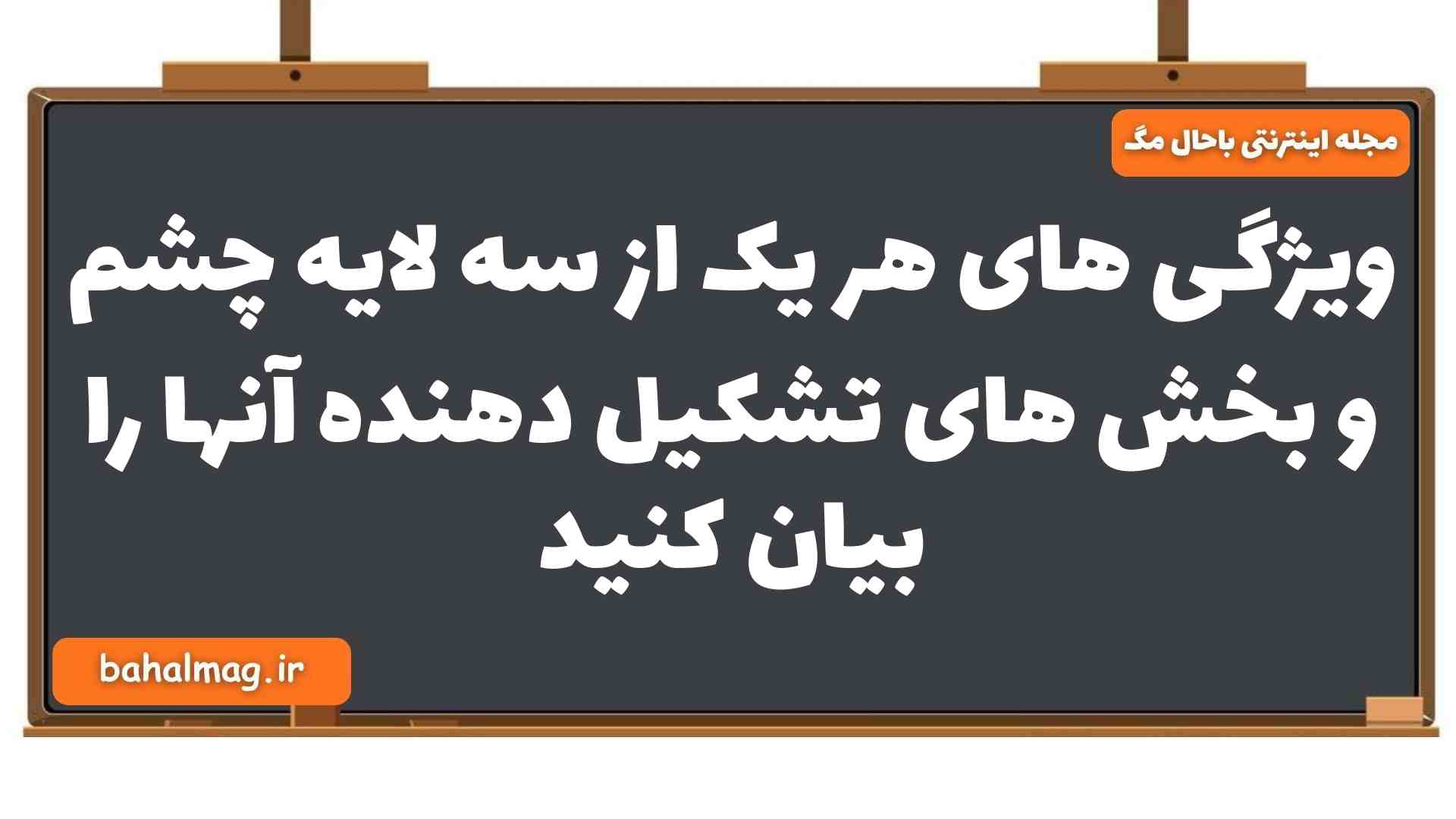 ویژگی های هر یک از سه لایه چشم و بخش های تشکیل دهنده آنها را بیان کنید زیست یازدهم