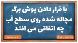 با قرار دادن پوش برگ مچاله شده روی سطح آب چه اتفاقی می افتد فیزیک دهم