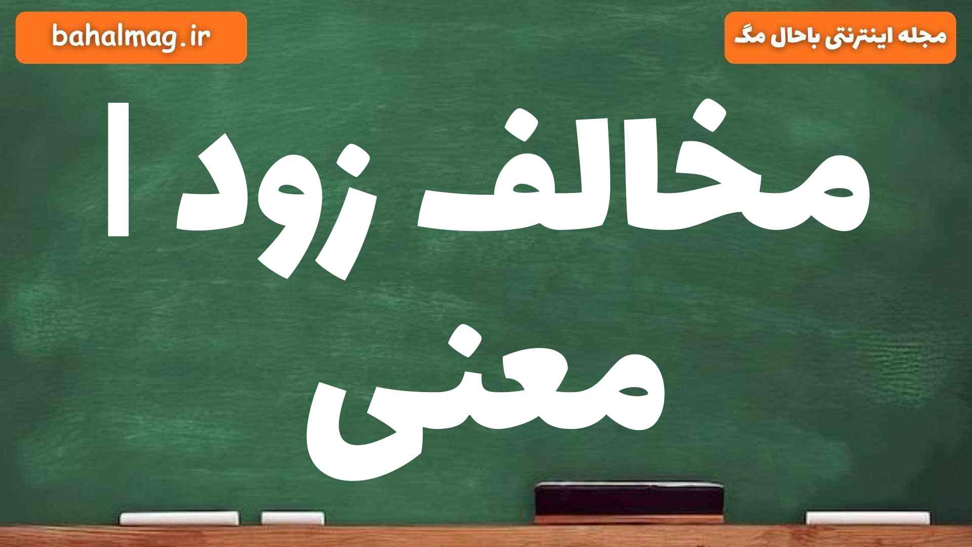 مخالف زود | معنی