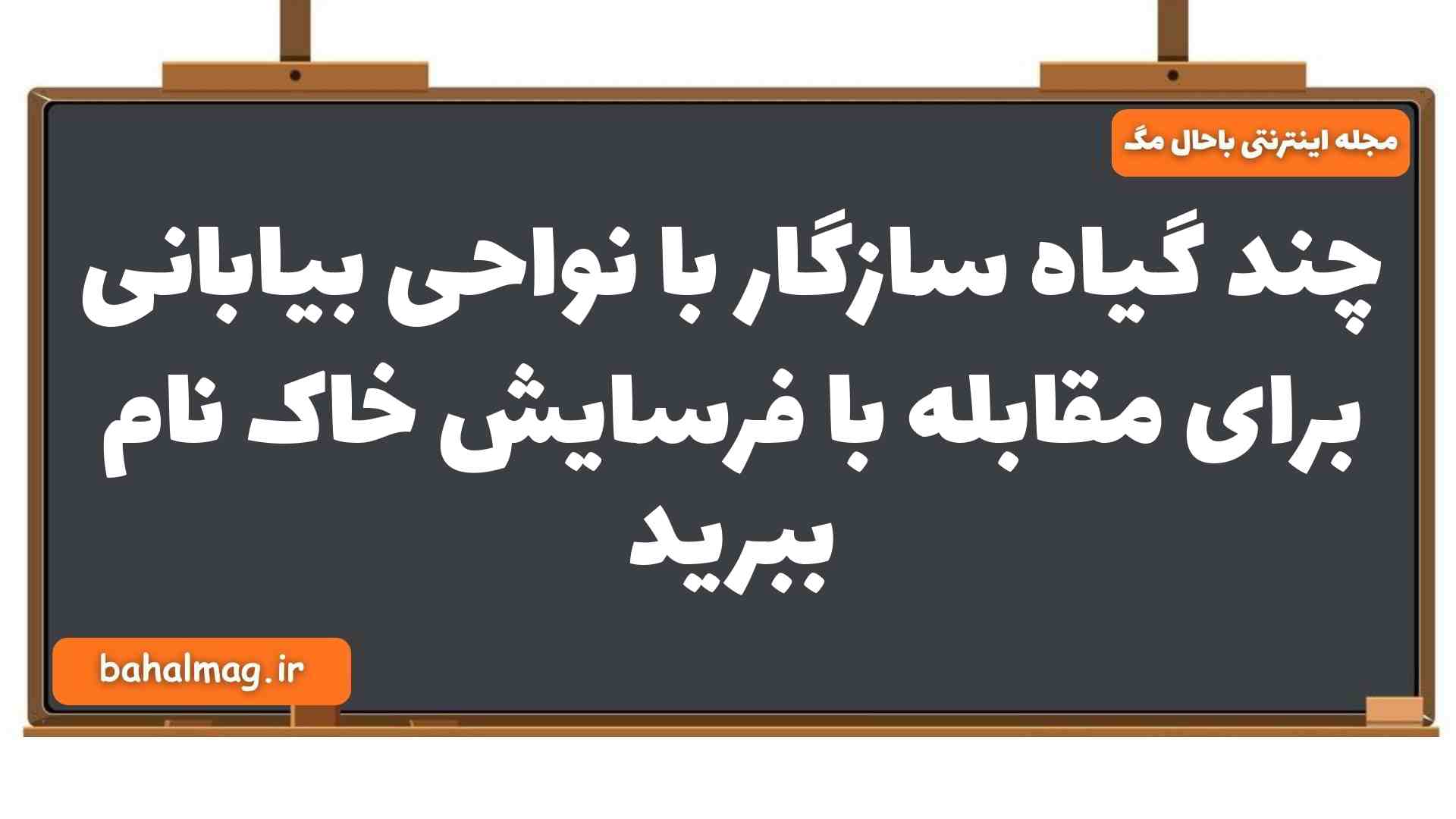 چند گیاه سازگار با نواحی بیابانی برای مقابله با فرسایش خاک نام ببرید جغرافیا یازدهم