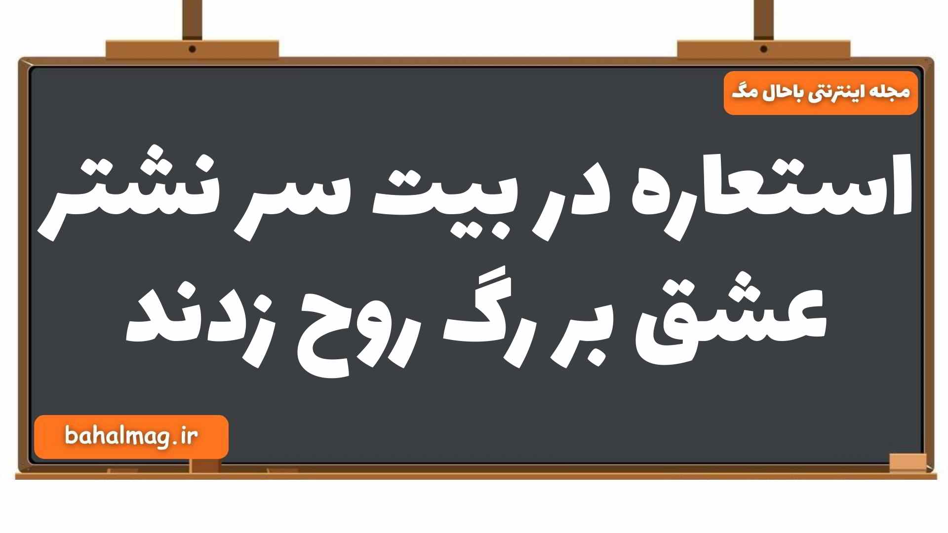 استعاره در بیت سر نشتر عشق بر رگ روح زدند