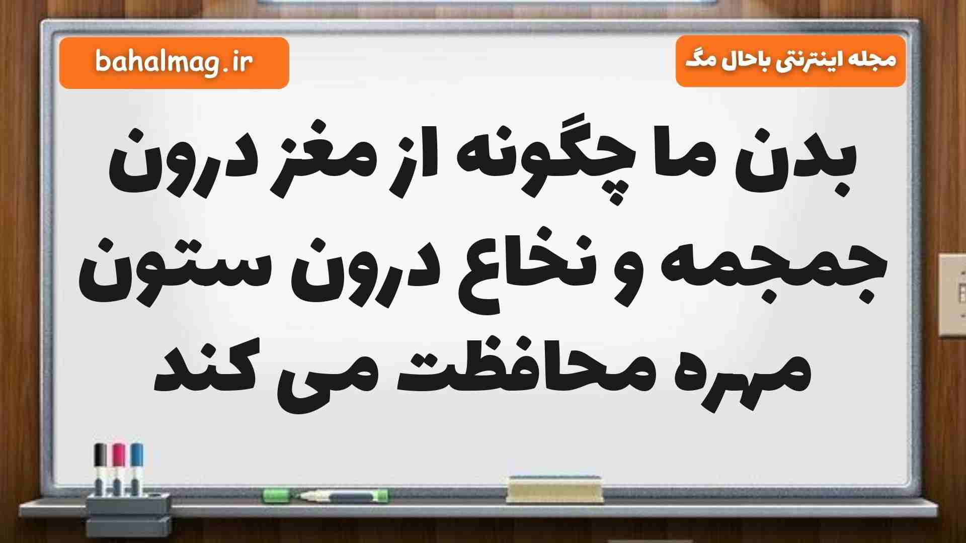 بدن ما چگونه از مغز درون جمجمه و نخاع درون ستون مهره محافظت می کند علوم پنجم