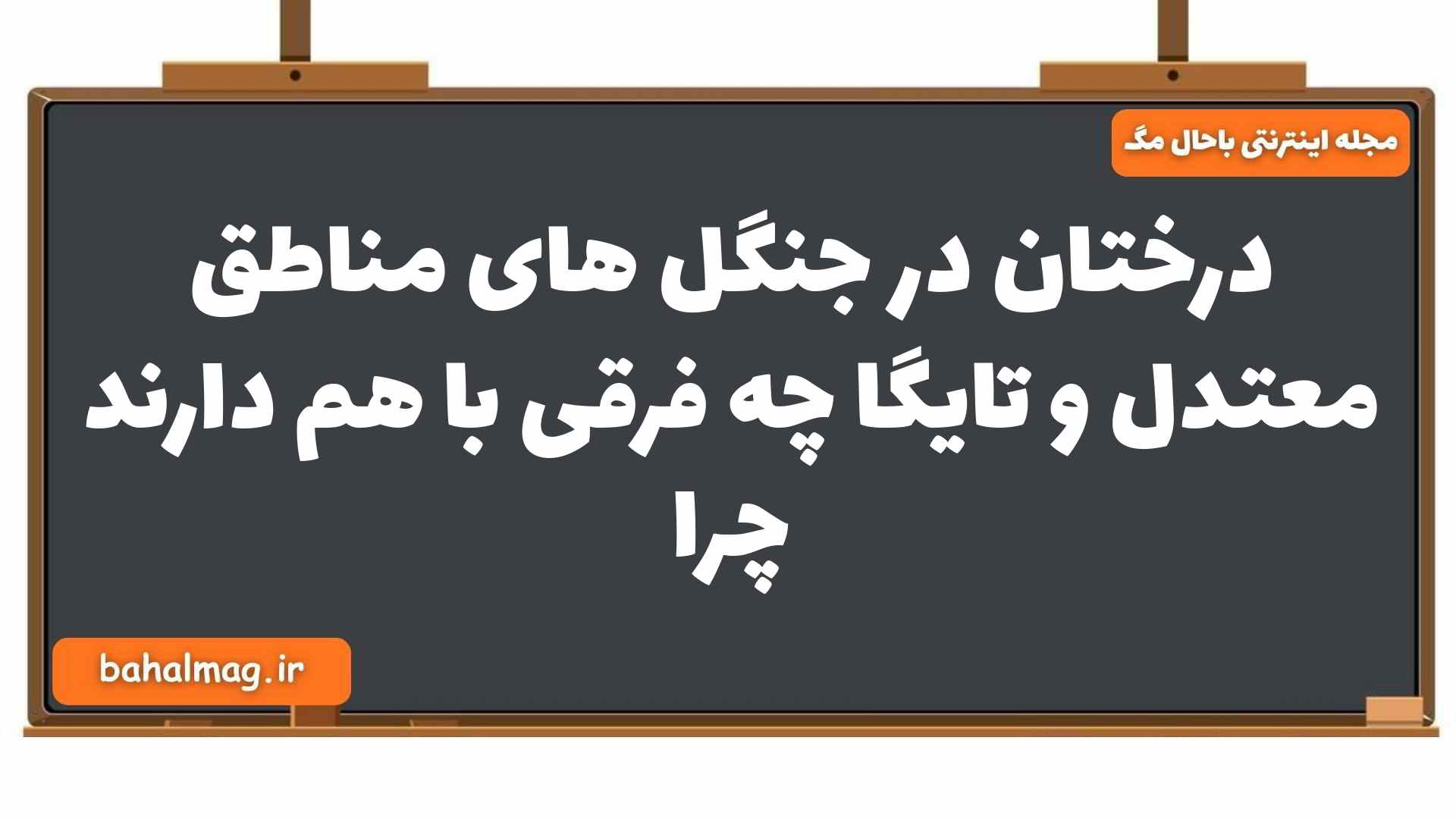 درختان در جنگل های مناطق معتدل و تایگا چه فرقی با هم دارند چرا جغرافیا یازدهم