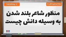 منظور شاعر بلند شدن به وسیله دانش چیست