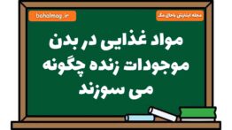 مواد غذایی در بدن موجودات زنده چگونه می سوزند علوم هشتم