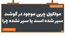 مولکول چربی موجود در گوشت سیر شده است یا سیر نشده چرا