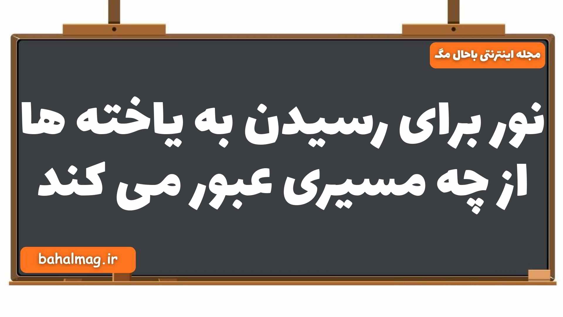 نور برای رسیدن به یاخته ها از چه مسیری عبور می کند زیست شناسی یازدهم