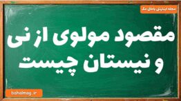 مقصود مولوی از نی و نیستان چیست