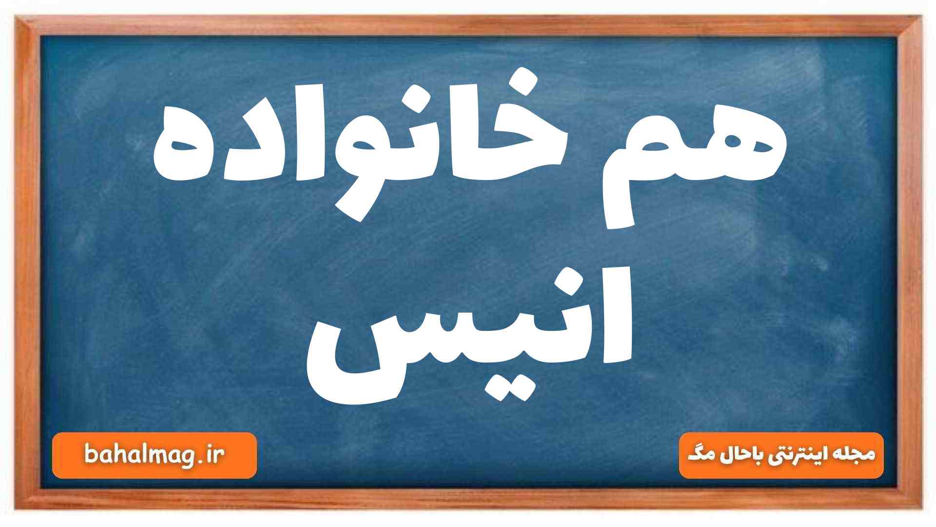 هم خانواده انیس