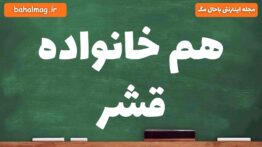 هم خانواده قشر