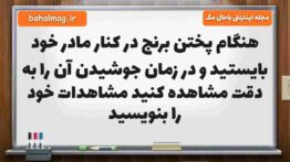 هنگام پختن برنج در کنار مادر خود بایستید و در زمان جوشیدن آن را به دقت مشاهده کنید مشاهدات خود را بن