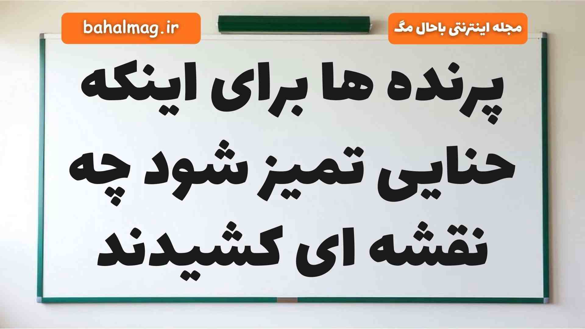 پرنده ها برای اینکه حنایی تمیز شود چه نقشه ای کشیدند فارسی دوم