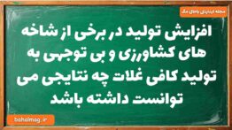 افزایش تولید در برخی از شاخه های کشاورزی و بی توجهی به تولید کافی غلات چه نتایجی می توانست داشته باش
