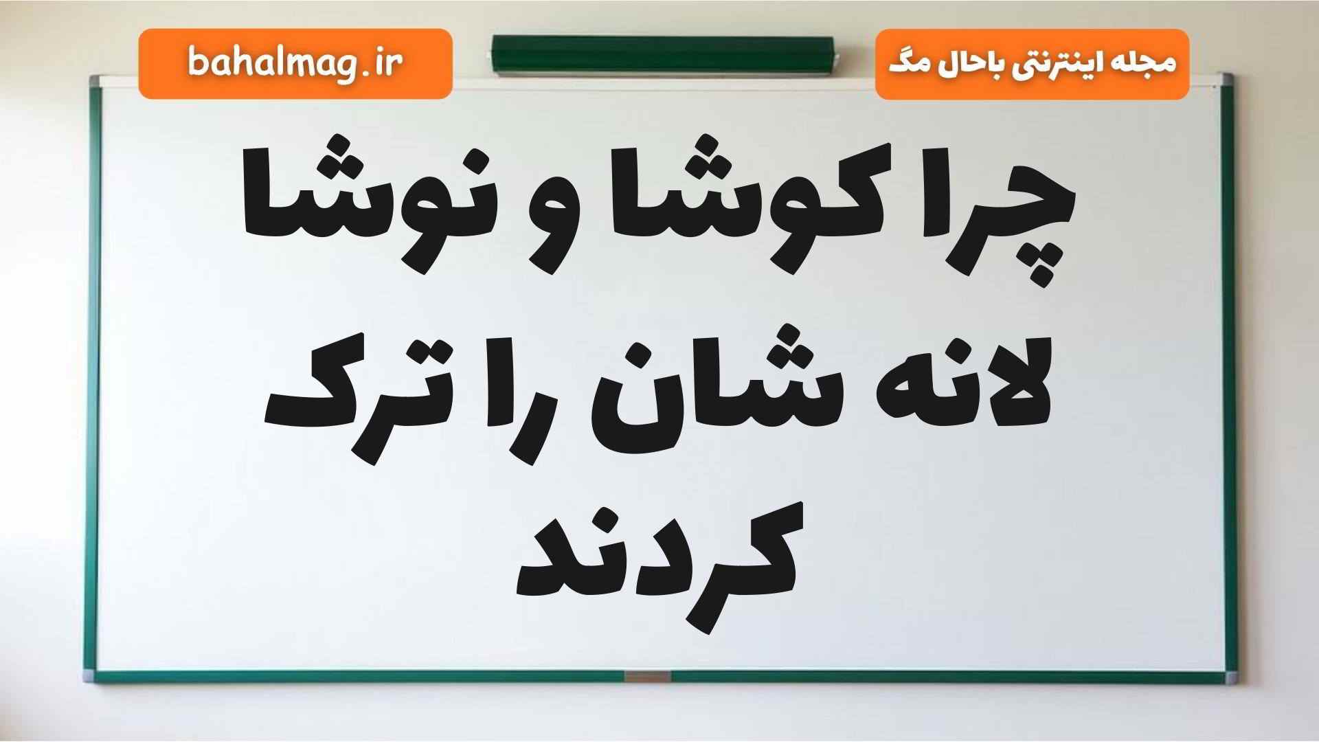 چرا کوشا و نوشا لانه شان را ترک کردند فارسی دوم