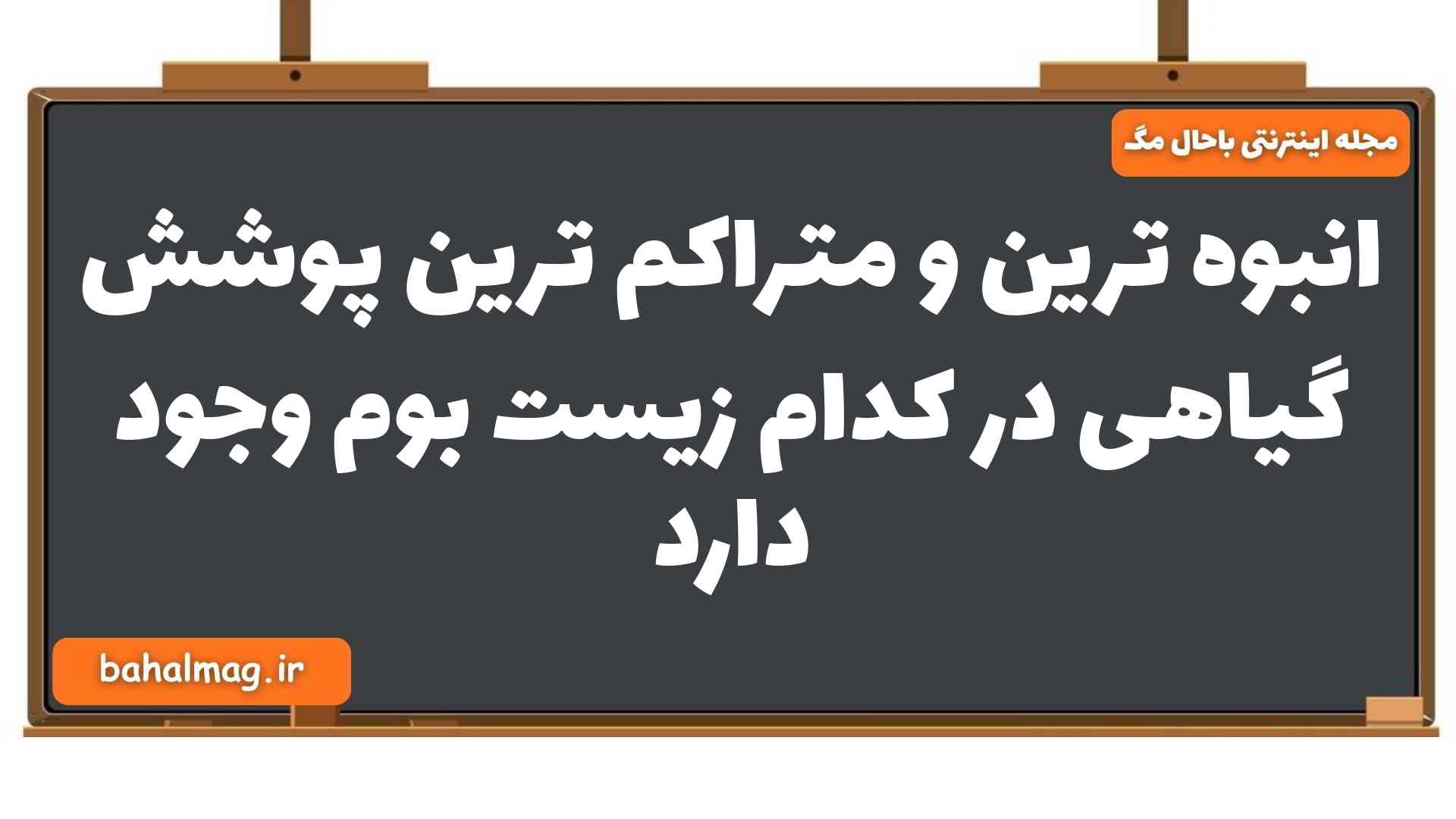انبوه ترین و متراکم ترین پوشش گیاهی در کدام زیست بوم وجود دارد
