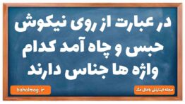 در عبارت از روی نیکوش حبس و چاه آمد کدام واژه ها جناس دارند