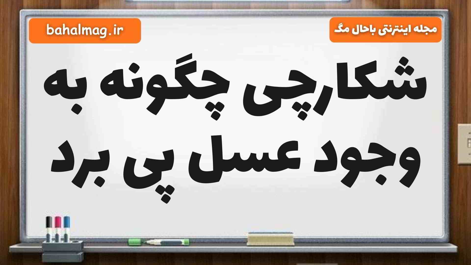 شکارچی چگونه به وجود عسل پی برد