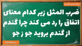 ضرب المثل زیر کدام معنای اتفاق را رد می کند چرا گندم از گندم بروید جو ز جو