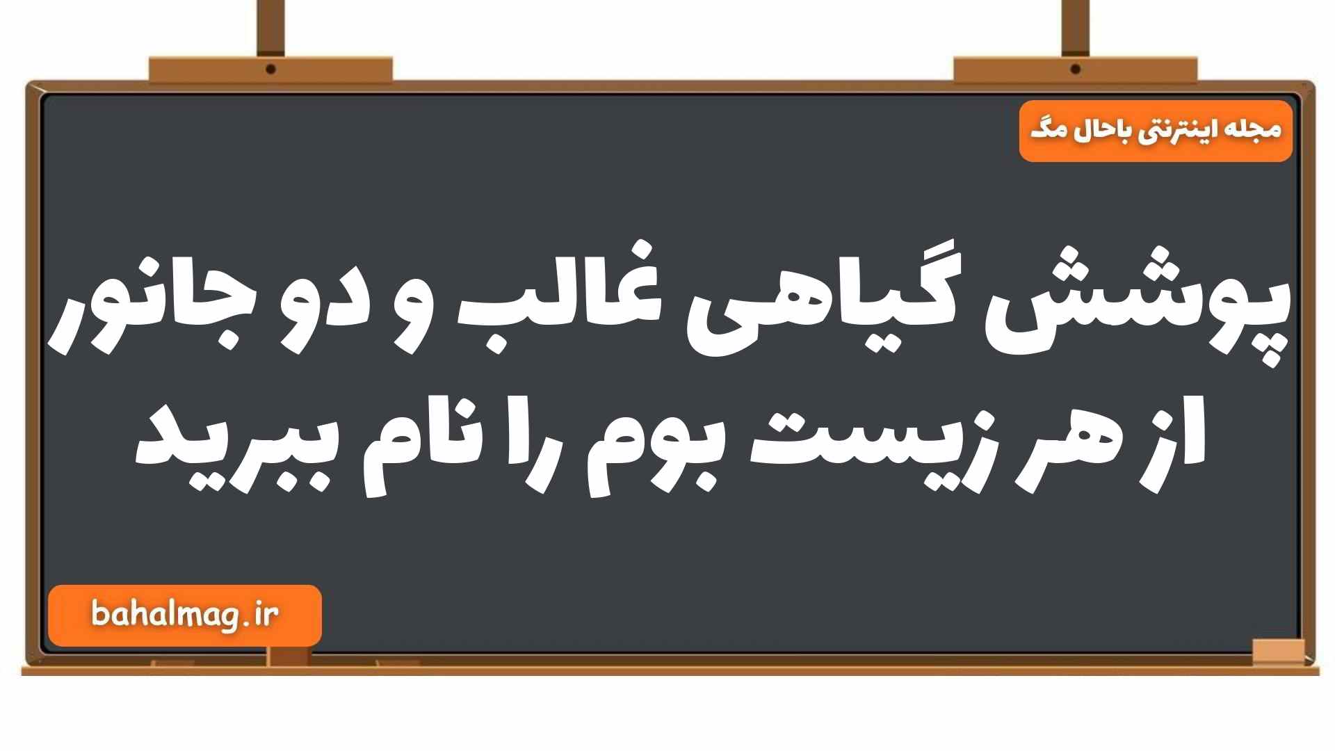 پوشش گیاهی غالب و دو جانور از هر زیست بوم را نام ببرید جغرافیا یازدهم
