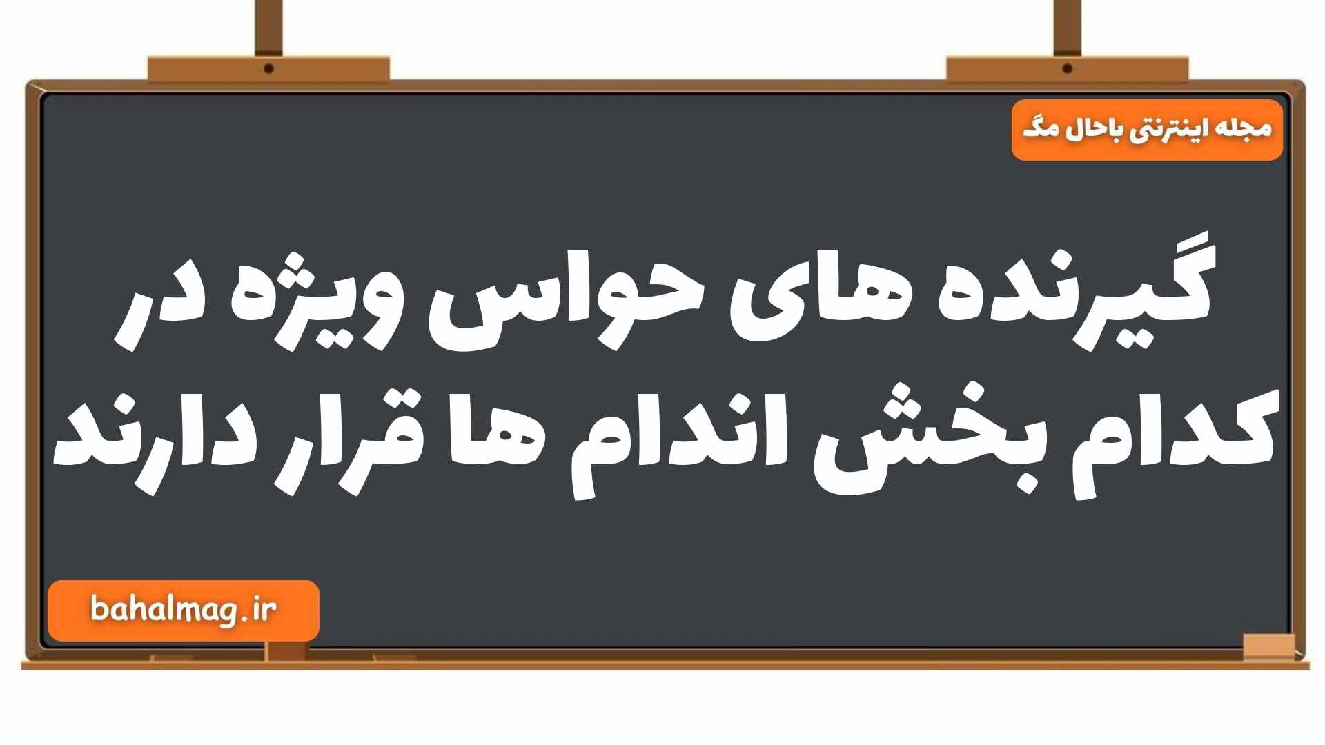 گیرنده های حواس ویژه در کدام بخش اندام ها قرار دارند